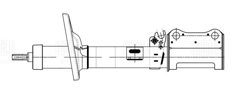 Амортизатор TRIALLI AG19412