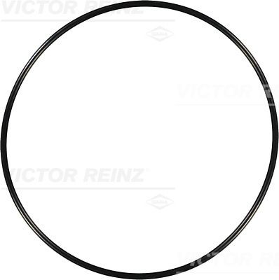 Уплотнительное кольцо VICTOR REINZ 407624800
