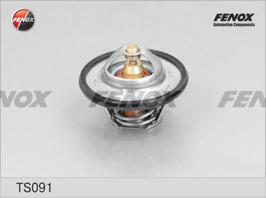 Термостат, охлаждающая жидкость FENOX TS091