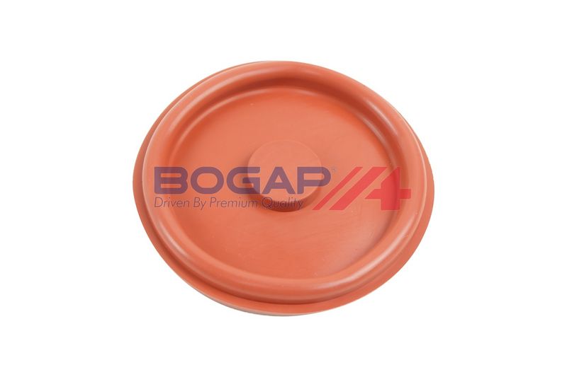 Клапан, отвода воздуха из картера BOGAP B1116115
