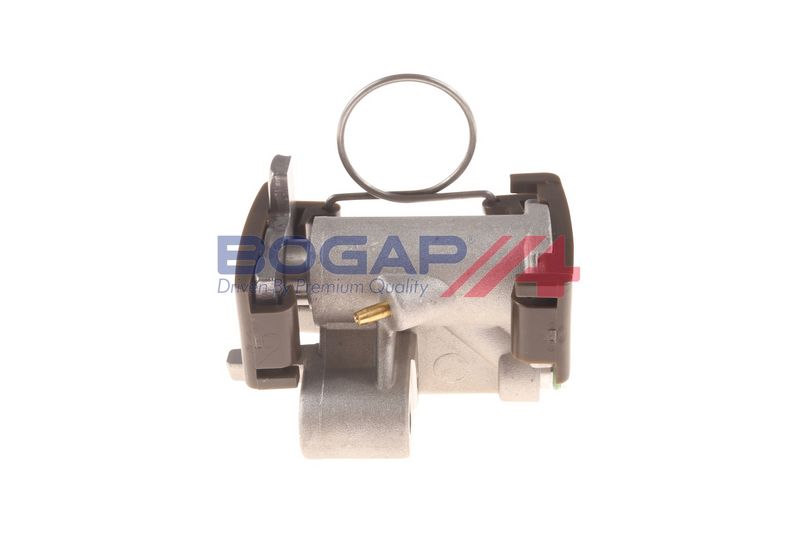 Натяжитель, цепь привода BOGAP B1312106
