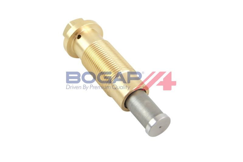 Натяжитель, цепь привода BOGAP C1312100