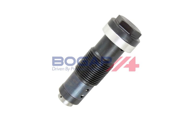 Натяжитель, цепь привода BOGAP C1312101