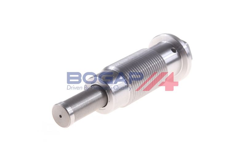 Натяжитель, цепь привода BOGAP C1312105