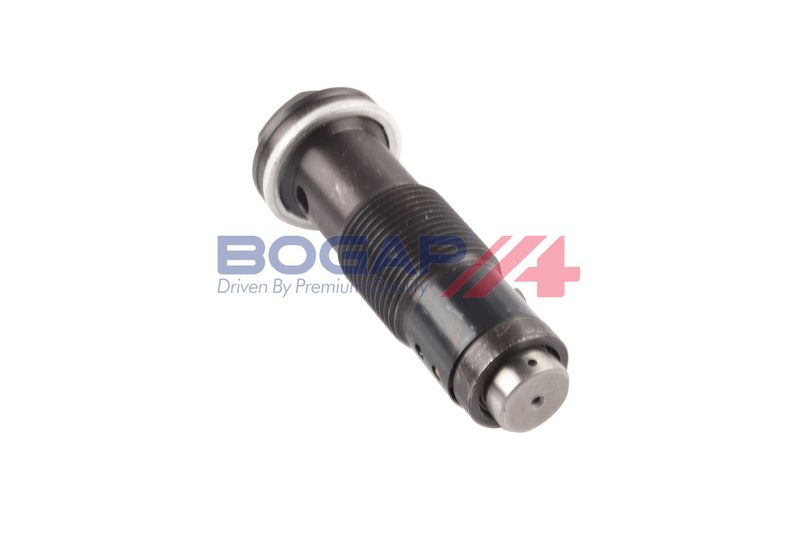 Натяжитель, цепь привода BOGAP C1312108