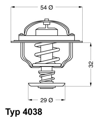 Термостат, охлаждающая жидкость BorgWarner 403876D