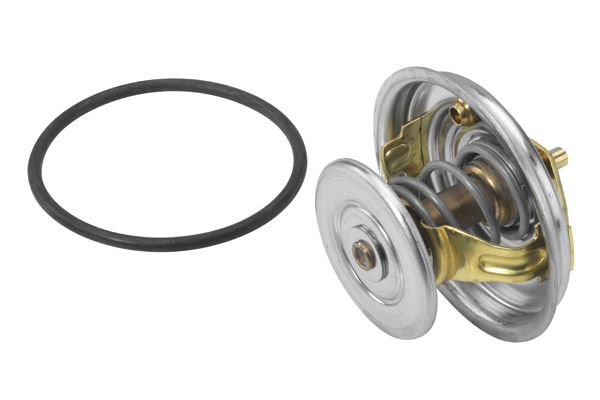 Термостат, охлаждающая жидкость BorgWarner 407865D