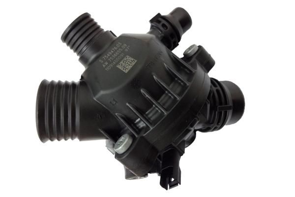 Термостат, охлаждающая жидкость BorgWarner 41008697D0
