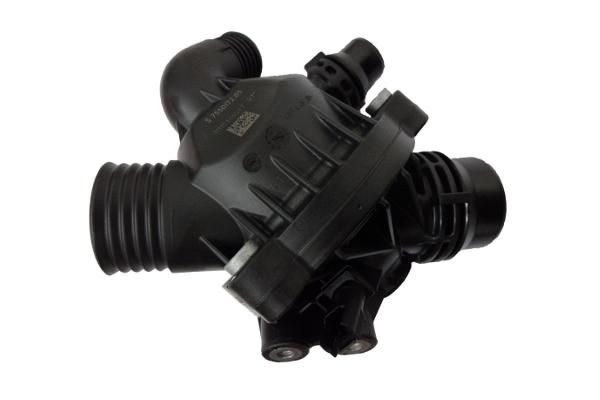 Термостат, охлаждающая жидкость BorgWarner 41008797D0