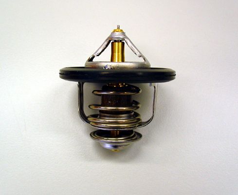 Термостат, охлаждающая жидкость BorgWarner 41017882D