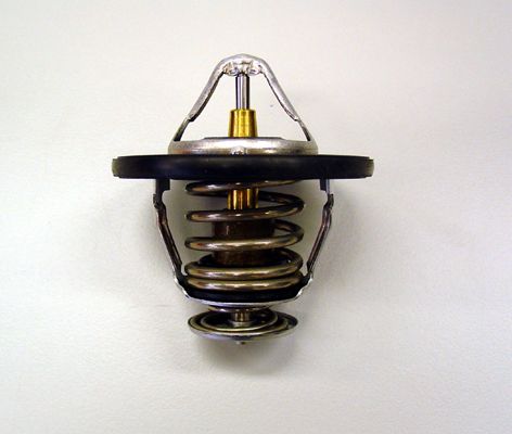 Термостат, охлаждающая жидкость BorgWarner 41018082D
