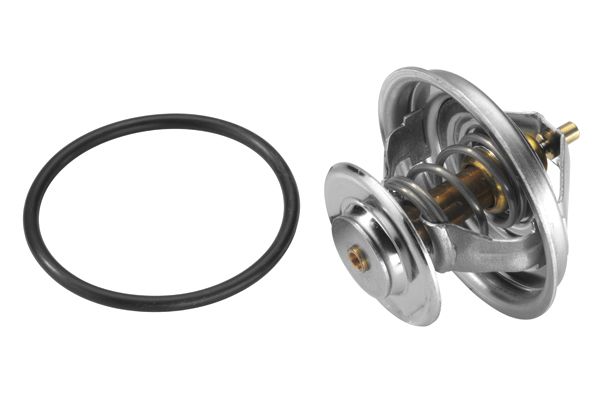 Термостат, охлаждающая жидкость BorgWarner 410579D