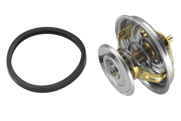 Термостат, охлаждающая жидкость BorgWarner 415880D