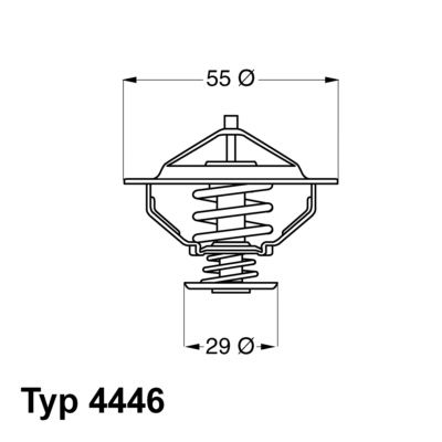 Термостат, охлаждающая жидкость BorgWarner 444683D