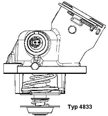 Термостат, охлаждающая жидкость BorgWarner 4833100D