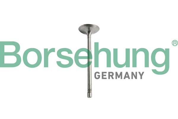 Впускной клапан Borsehung B10351