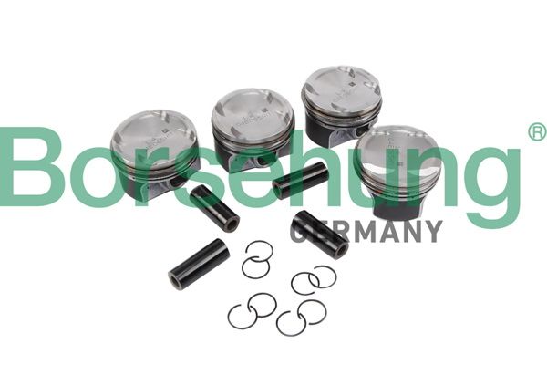Поршень Borsehung B11134