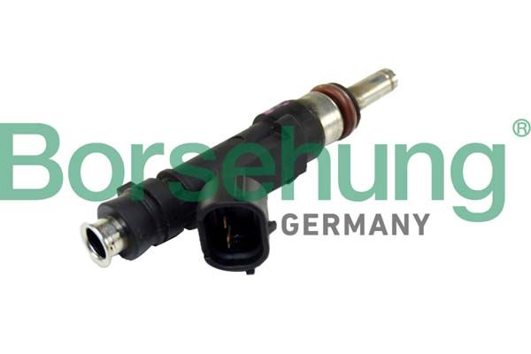 Клапанная форсунка Borsehung B11166