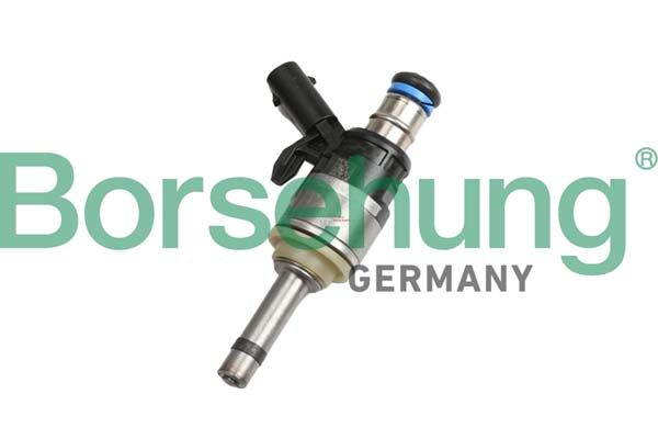 Клапанная форсунка Borsehung B11168