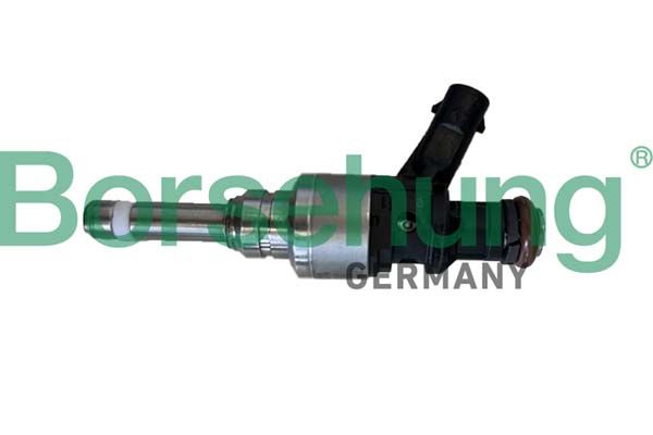 Клапанная форсунка Borsehung B11169