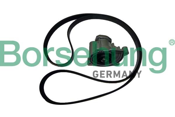 Водяной насос, охлаждение двигателя Borsehung B11215