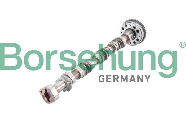 Распредвал Borsehung B12380