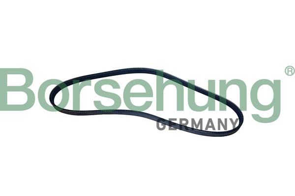 Поликлиновой ремень Borsehung B12496