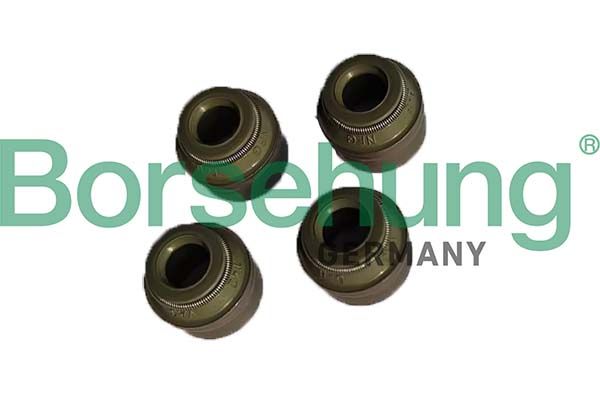Уплотнительное кольцо, стержень клапана Borsehung B12535