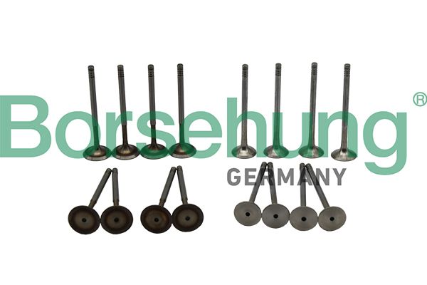 Клапанный комплект, впускной / выпускной клапан Borsehung B18138