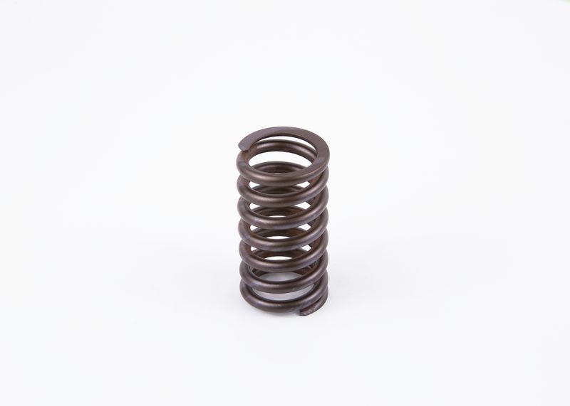 Рессора BOSCH 2434619017