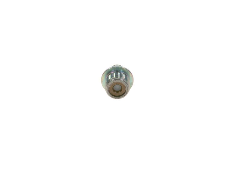 Патрубок BOSCH 2443357006