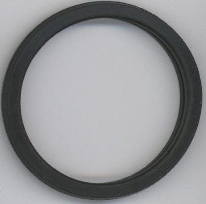 Уплотнительное кольцо ELRING 027450