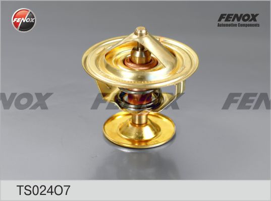 Термостат, охлаждающая жидкость FENOX TS024O7