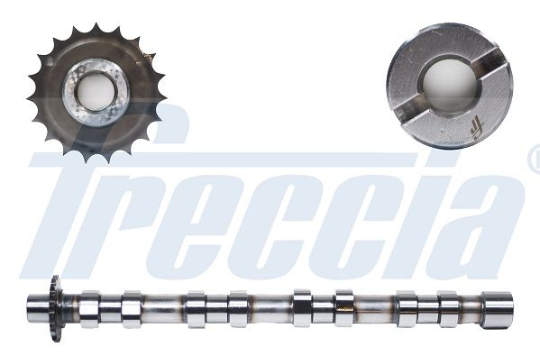 Распредвал FRECCIA CM052176