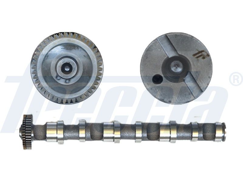 Распредвал FRECCIA CM052188