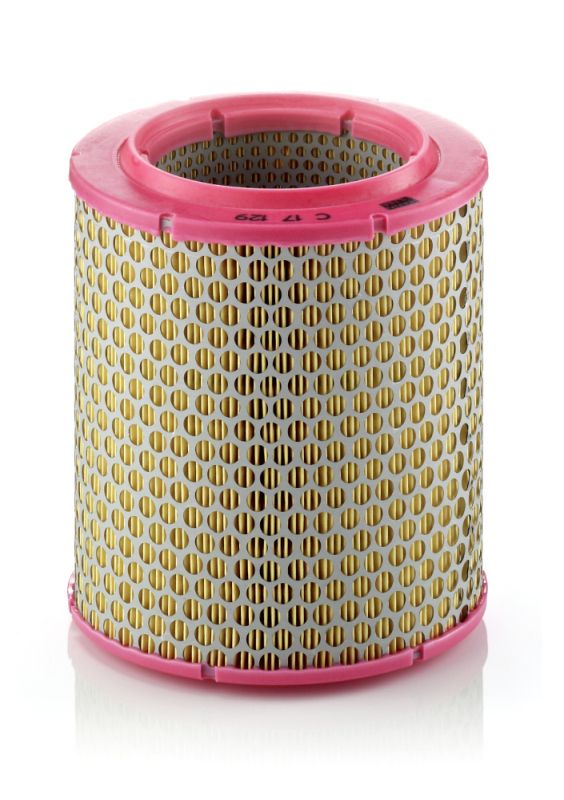 Воздушный фильтр MANN-FILTER C17129