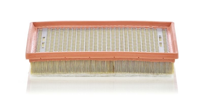 Воздушный фильтр MANN-FILTER C301701