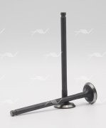 Запчасть AUTOWELT VE33014