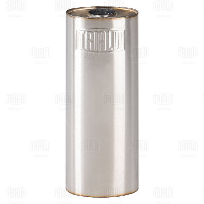 Средний / конечный глушитель ОГ TRIALLI EAM22I46063