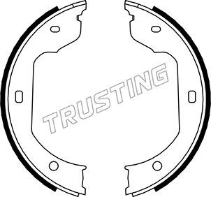 Комплект тормозных колодок, стояночная тормозная система TRUSTING 019029