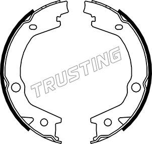 Комплект тормозных колодок, стояночная тормозная система TRUSTING 046220