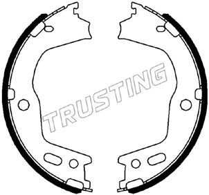Комплект тормозных колодок, стояночная тормозная система TRUSTING 046226