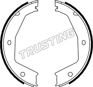 Комплект тормозных колодок, стояночная тормозная система TRUSTING 048002
