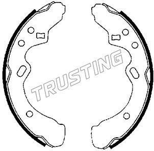 Комплект тормозных колодок TRUSTING 049131