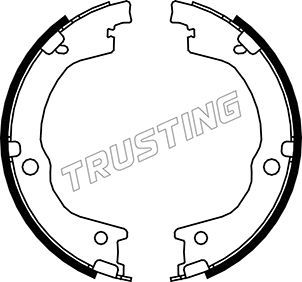 Комплект тормозных колодок, стояночная тормозная система TRUSTING 049165