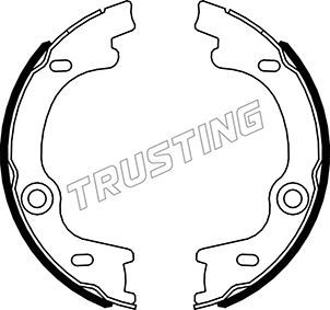 Комплект тормозных колодок, стояночная тормозная система TRUSTING 049169