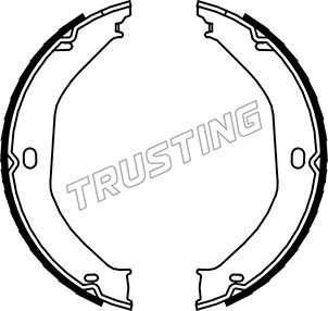 Комплект тормозных колодок, стояночная тормозная система TRUSTING 088235