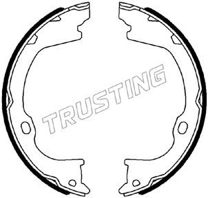 Комплект тормозных колодок, стояночная тормозная система TRUSTING 088243