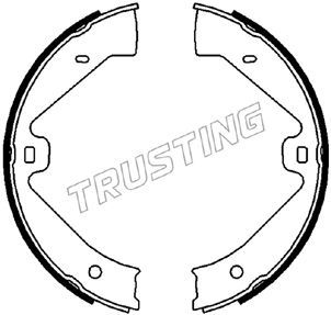 Комплект тормозных колодок, стояночная тормозная система TRUSTING 124289