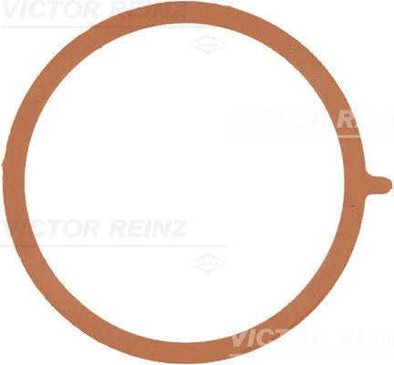 Прокладка, впускной коллектор VICTOR REINZ 713895300